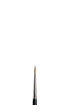 WN Series 7 Finest Kolinsky Sable Watercolor Brushes (Winsor & Newton)
