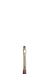 WN Monarch Bright LH #2 (Winsor & Newton)
