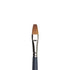 WN Professional Watercolor Synthetic Sable Brushes - One Stroke (Winsor & Newton)
