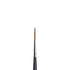 WN Professional Watercolor Synthetic Sable Brushes - Rigger (Winsor & Newton)