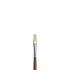 WN Artists' Oil Synthetic Hog Bristle Brushes - Flat LH #1-20 (Winsor & Newton)