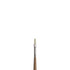 WN Artists' Oil Synthetic Hog Bristle Brushes LH #1-20 - Filbert (Winsor & Newton)