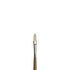 WN Artists' Oil Synthetic Hog Bristle Brushes LH #1-20 - Filbert (Winsor & Newton)