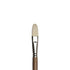 WN Artists' Oil Synthetic Hog Bristle Brushes LH #1-20 - Filbert (Winsor & Newton)
