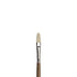 WN Artists' Oil Synthetic Hog Bristle Brushes LH #1-20 - Filbert (Winsor & Newton)
