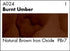 AWC BURNT UMBER A024 (Grumbacher W/C)