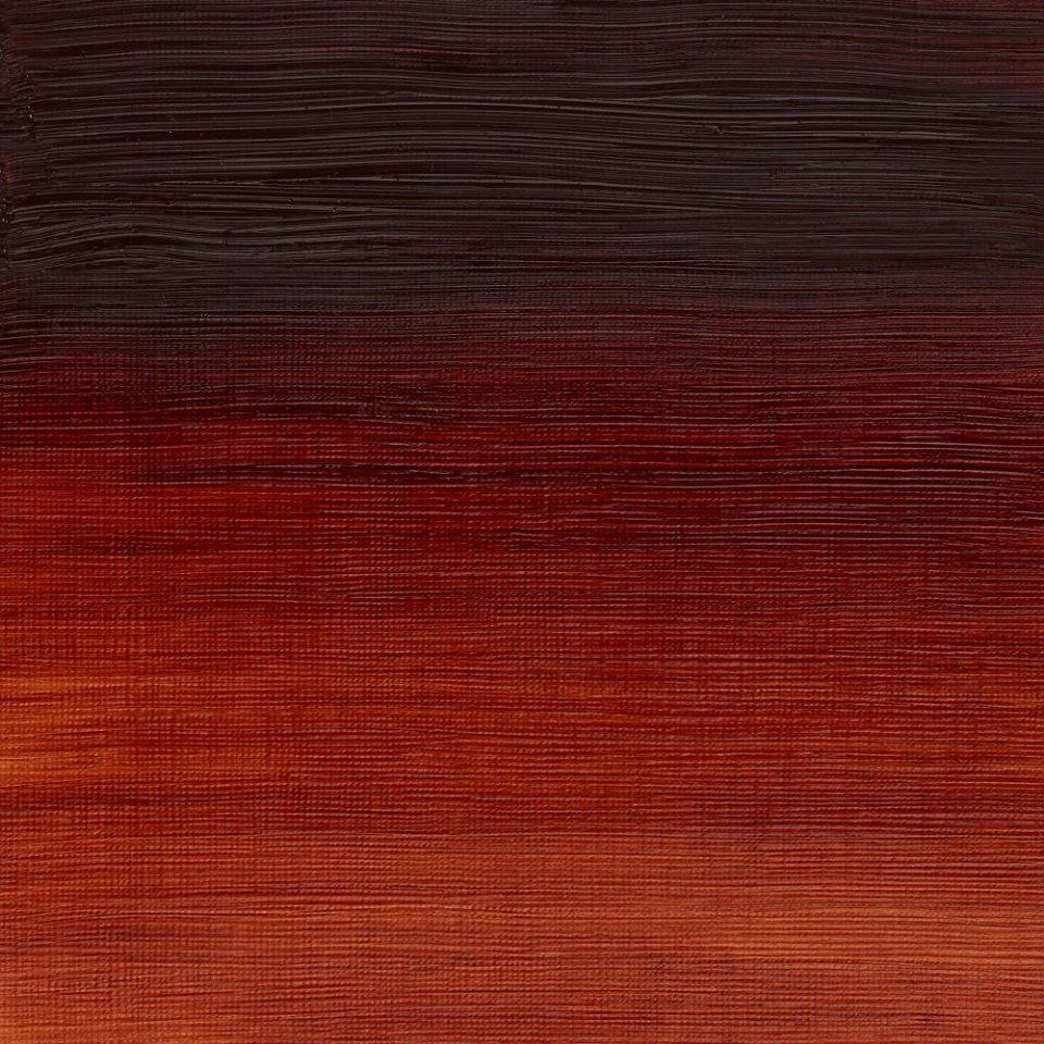 AWMO Burnt Sienna (Winsor & Newton Artist Oil)