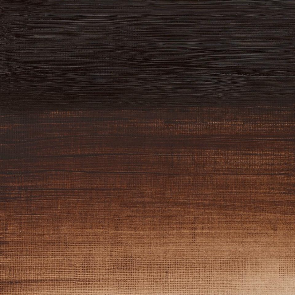 AWMO Burnt Umber (Winsor & Newton Artist Oil)