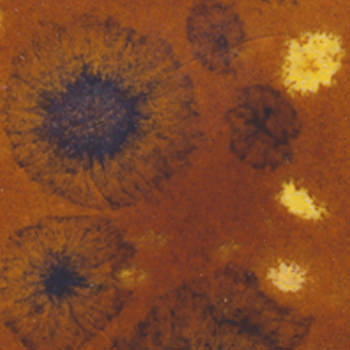 CTL-36  GINGER BREAD (AMACO)