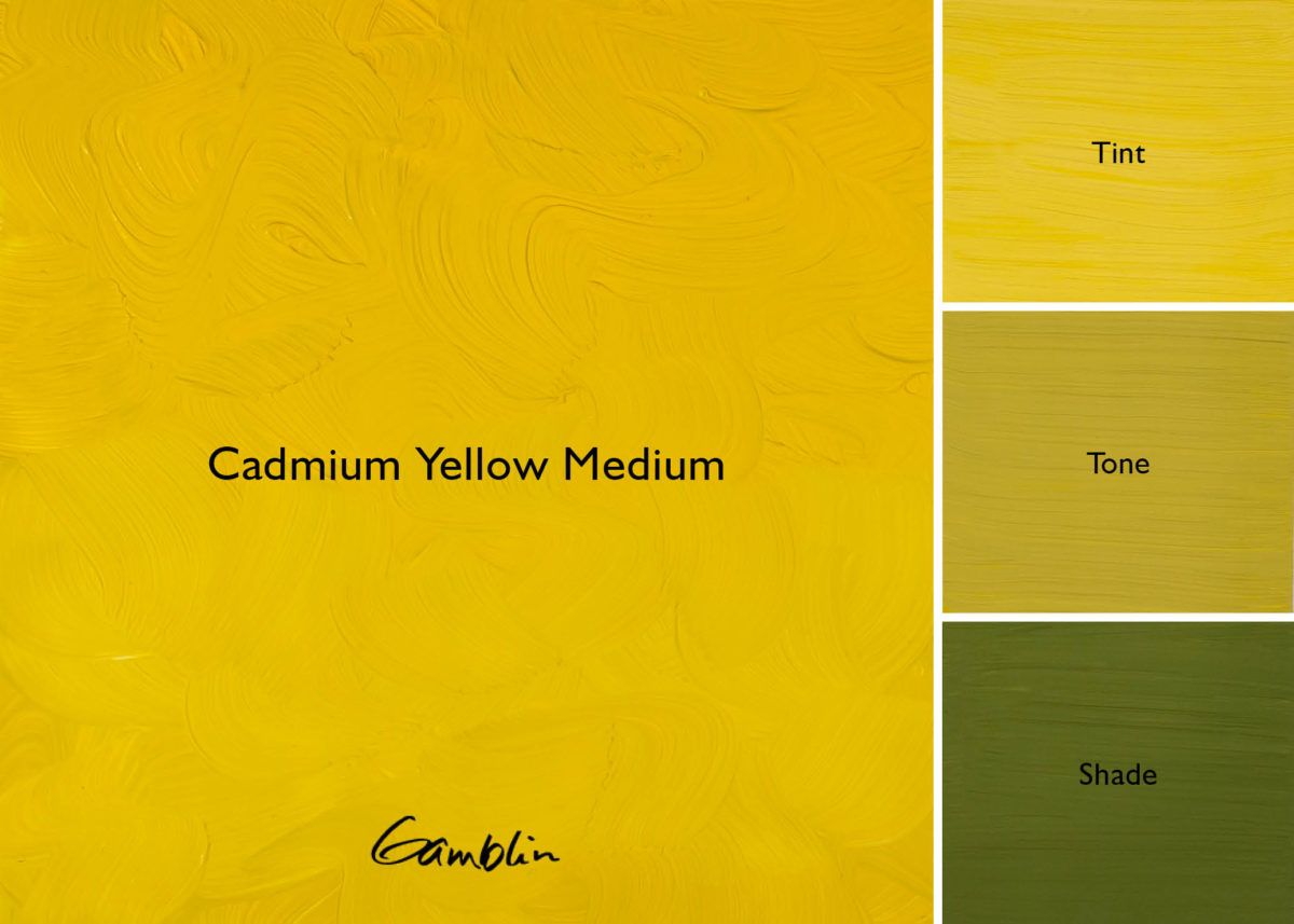 1980 Cadmium Yellow Medium  (Gamblin Oil)