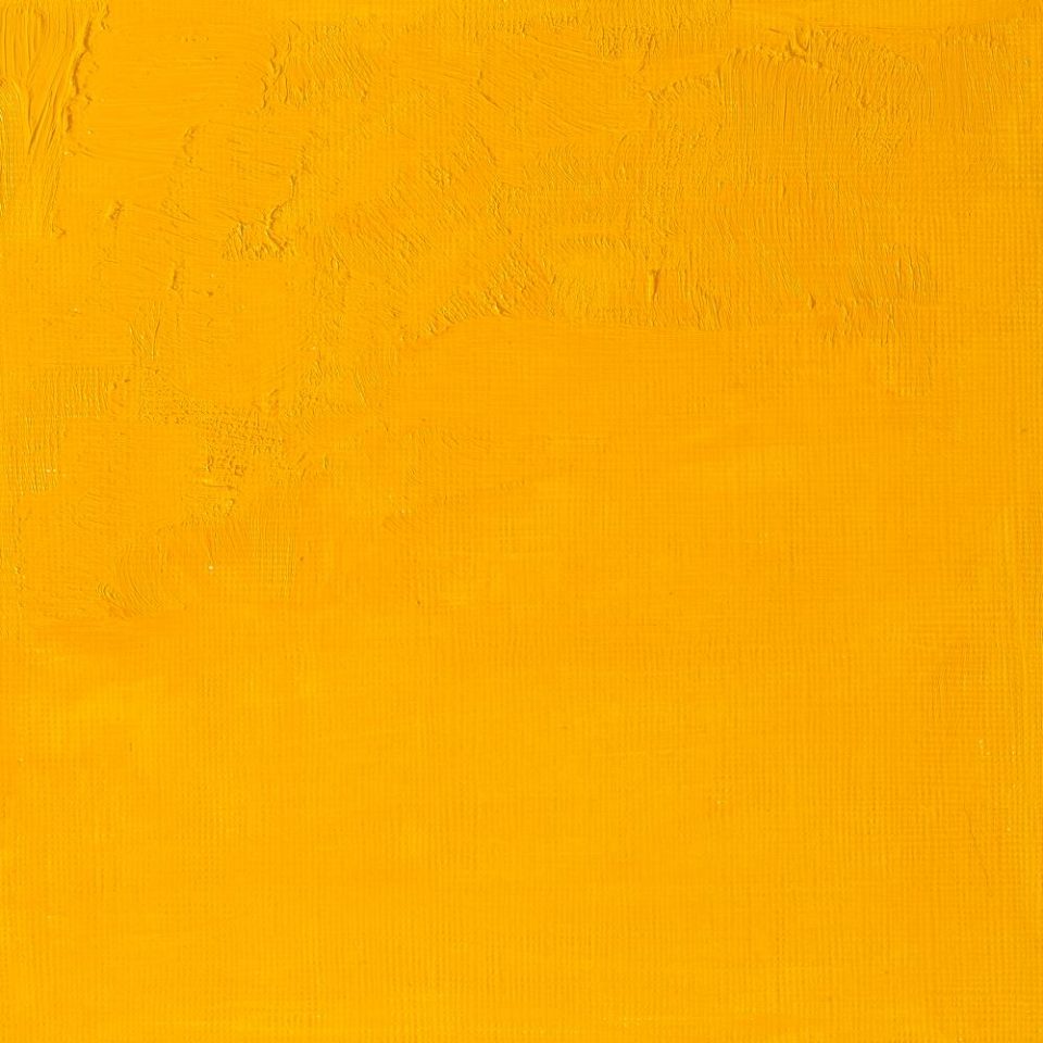 AWMO Cadmium Yellow Medium (Winsor & Newton Artist Oil)