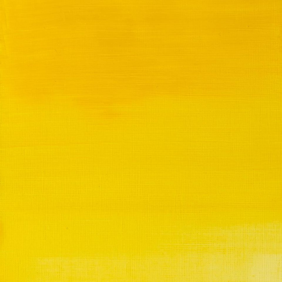 AWMO Cadmium Yellow Pale Hue (Winsor & Newton Artist Oil)