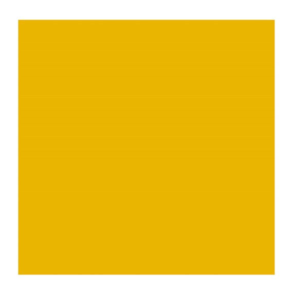 YELLOW OCHRE LT 228 1 (Rembrandt Oil Colour)
