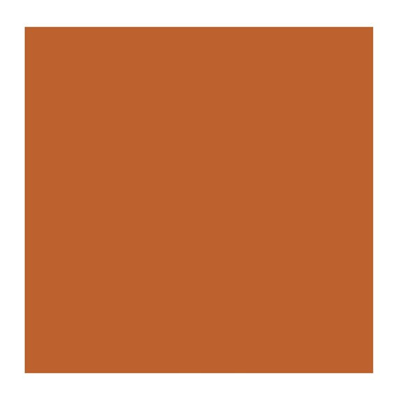 ORANGE OCHRE 232 1 (Rembrandt Oil Colour)