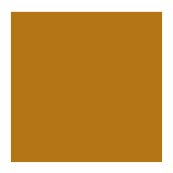 RAW SIENNA 234 1 (Rembrandt Oil Colour)