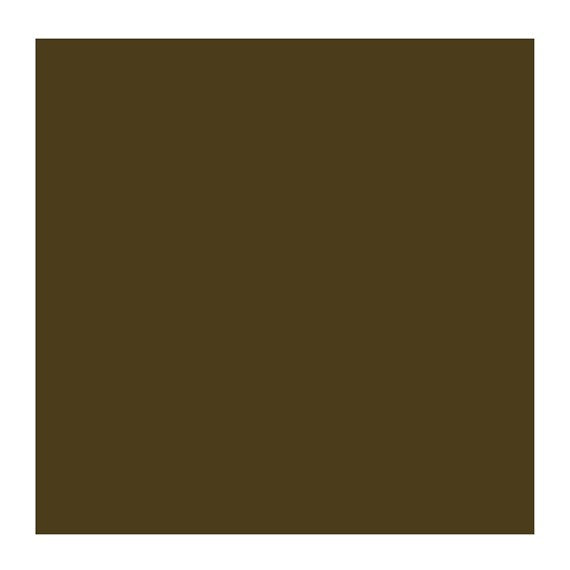RAW UMBER 408 1 (Rembrandt Oil Colour)