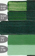 Hookers Green Hue  (Golden Acrylic Heavy Body)