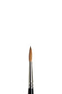 WN Series 7 Finest Kolinsky Sable Watercolor Brushes (Winsor & Newton)