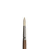 Artists' Oil Synthetic Hog Bristle Brushes - Round LH #1-20 (Winsor & Newton)