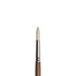 WN Artists' Oil Synthetic Hog Bristle Brushes - Round LH #1-20 (Winsor & Newton)