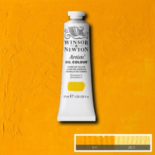 AOC Cadmium Yellow (Winsor & Newton Artist Oil)