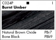 AA BURNT UMBER C024 (Grumbacher Acrylic)