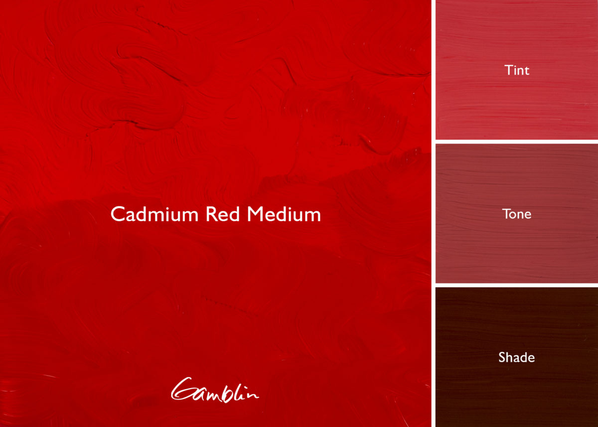 1980 Cadmium Red Medium   (Gamblin Oil)