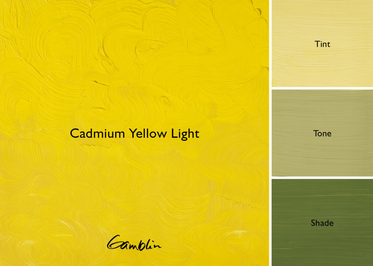 1980 Cadmium Yellow Light  (Gamblin Oil)