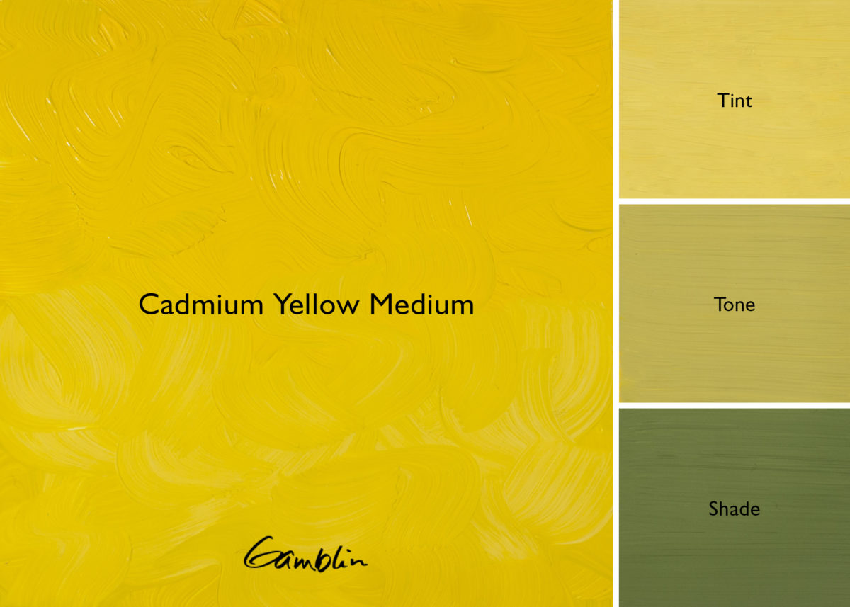 Cadmium Yellow Medium AG (Gamblin Artist Oil)