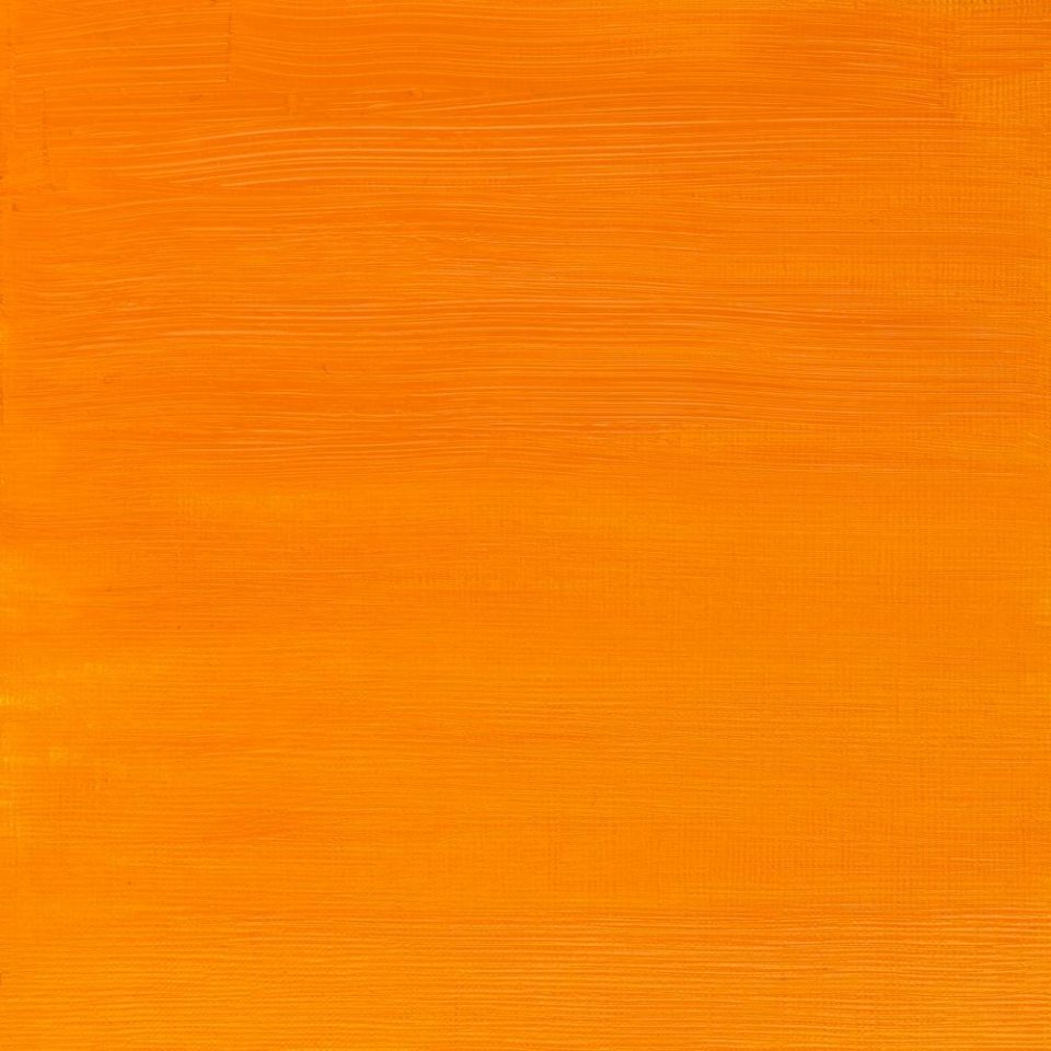 AWMO Cadmium Yellow Deep Hue (Winsor & Newton Artist Oil)