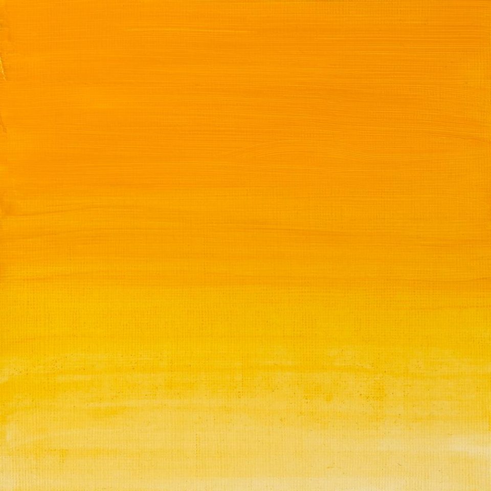 AWMO Cadmium Yellow Hue (Winsor & Newton Artist Oil)