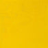 AWMO Cadmium Yellow Light (Winsor & Newton Artist Oil)