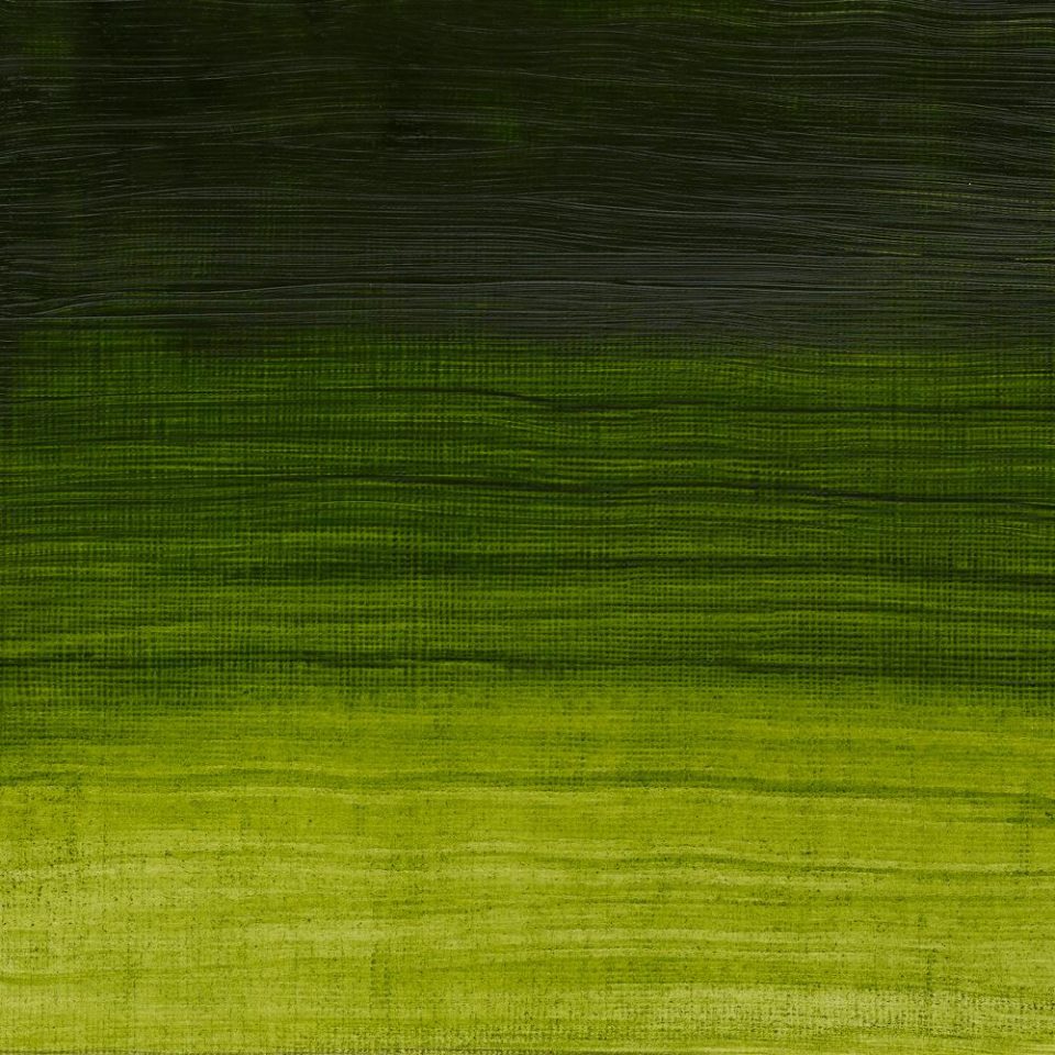 AWMO Permanent Sap Green (Winsor & Newton Artist Oil)