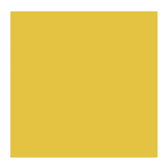 CADMIUM YEL LIGHT 208 4 (Rembrandt Oil Colour)
