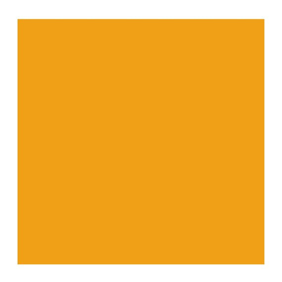 CADMIUM YELLOW DP 210 4 (Rembrandt Oil Colour)