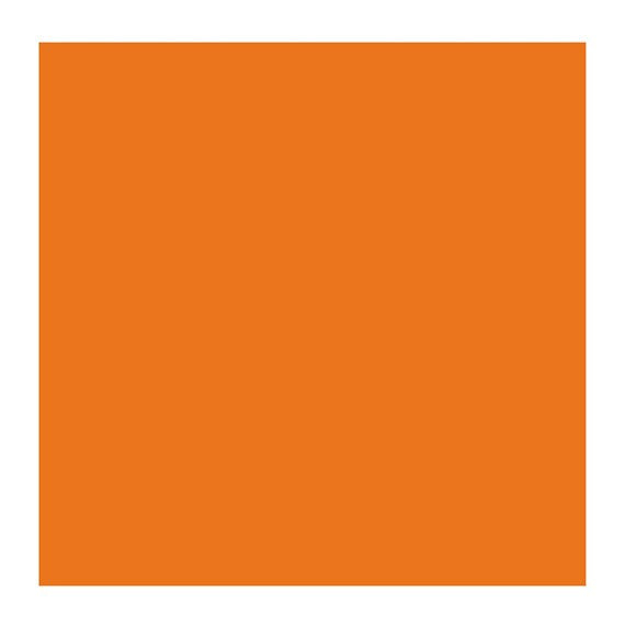 CADMIUM ORANGE 211 4 (Rembrandt Oil Colour)