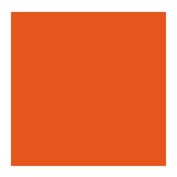 CADMIUM RED LIGHT 303 4 (Rembrandt Oil Colour)