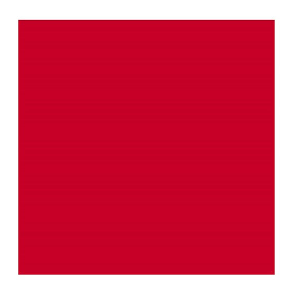 CADMIUM RED DEEP 306 4 (Rembrandt Oil Colour)