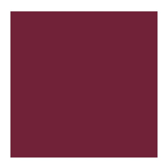 BURNT CARMINE 323 3 (Rembrandt Oil Colour)