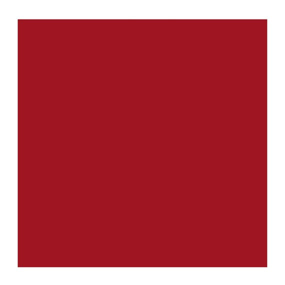PERM MADDER BROWN 324 3 (Rembrandt Oil Colour)