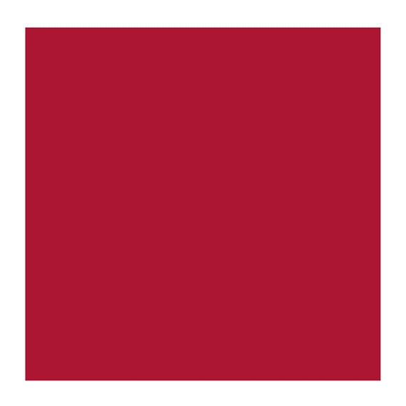PERM MADDER DEEP 342 3 (Rembrandt Oil Colour)
