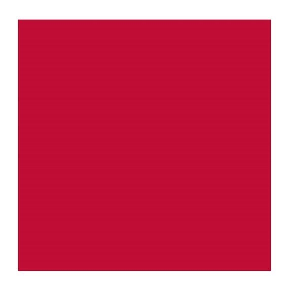 PERM RED PURPLE 348 3 (Rembrandt Oil Colour)