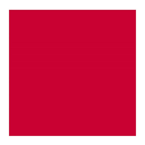 PERM RED DEEP 371 3 (Rembrandt Oil Colour)
