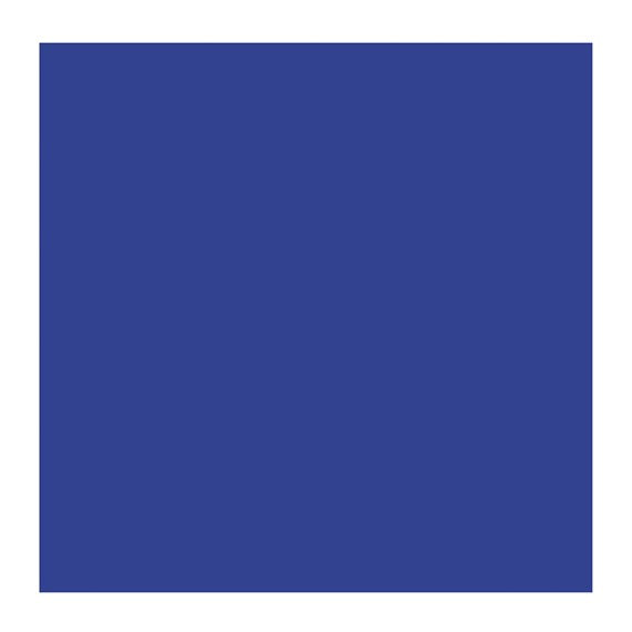 ULTRAMARINE LIGHT 505 2 (Rembrandt Oil Colour)