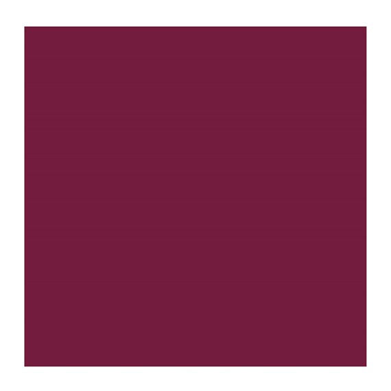 PERM RED VIOLET 567 3 (Rembrandt Oil Colour)