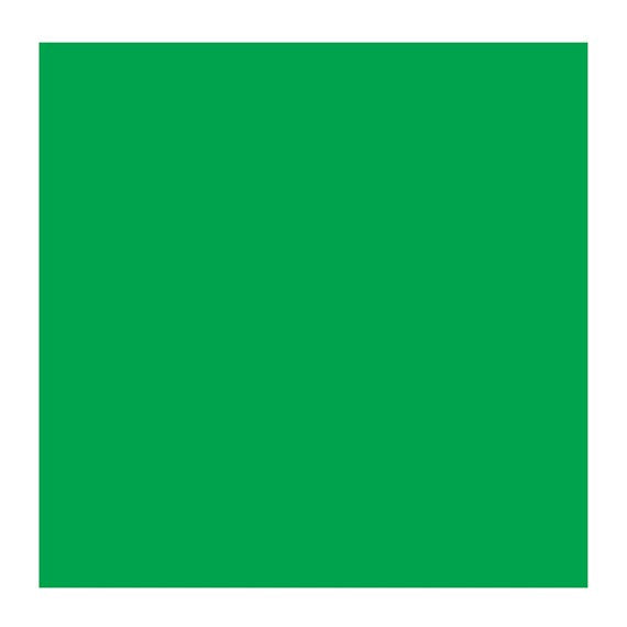 PERM GREEN MEDIUM 614 3 (Rembrandt Oil Colour)