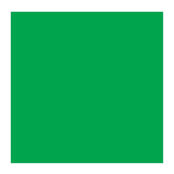 EMERALD GREEN 615 2 (Rembrandt Oil Colour)