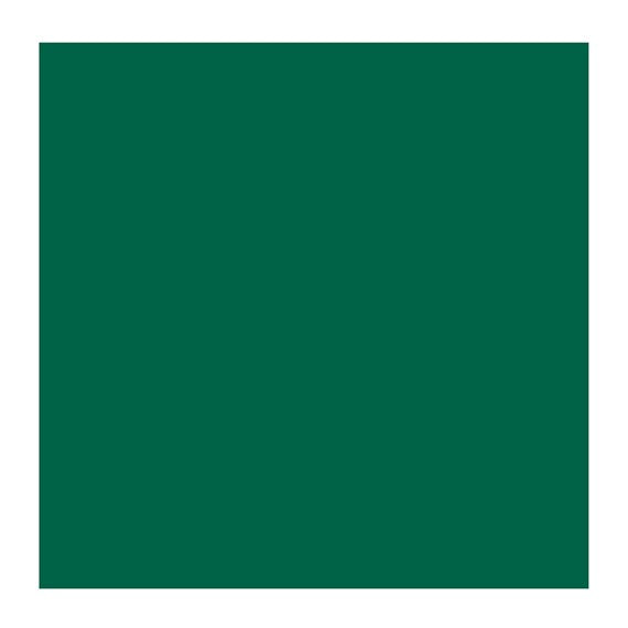 VIRIDIAN 616 3 (Rembrandt Oil Colour)