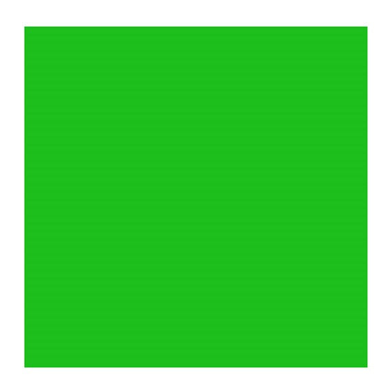 PERM GREEN LIGHT 618 3 (Rembrandt Oil Colour)