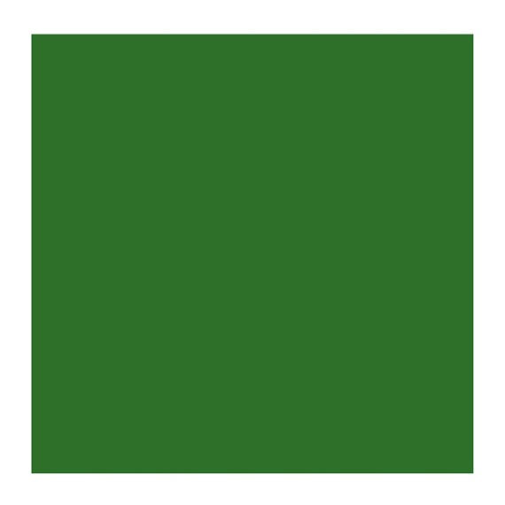 SAP GREEN 623 2 (Rembrandt Oil Colour)
